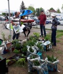 Bazar25a